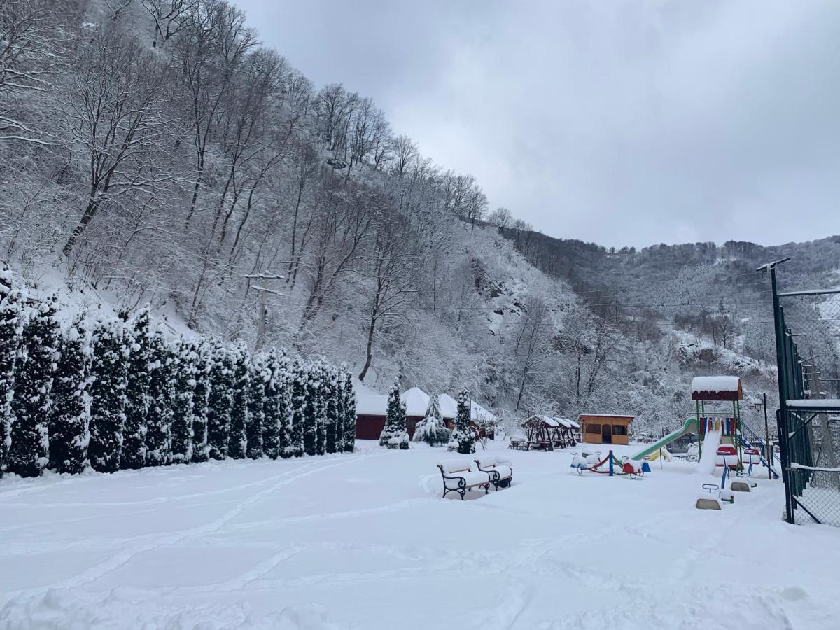 Hotel Podul Cetatii Sebesel Exteriér fotografie