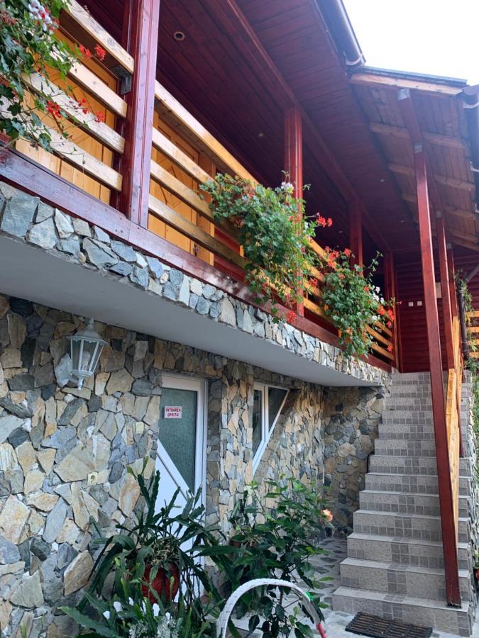 Hotel Podul Cetatii Sebesel Exteriér fotografie